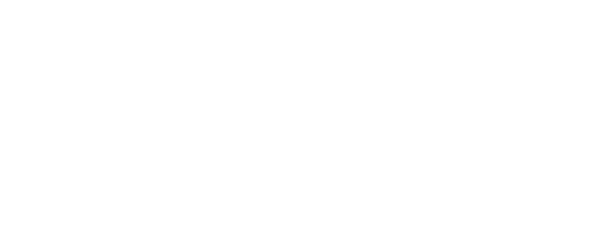 Zubisoft